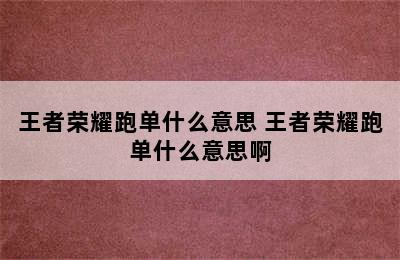 王者荣耀跑单什么意思 王者荣耀跑单什么意思啊